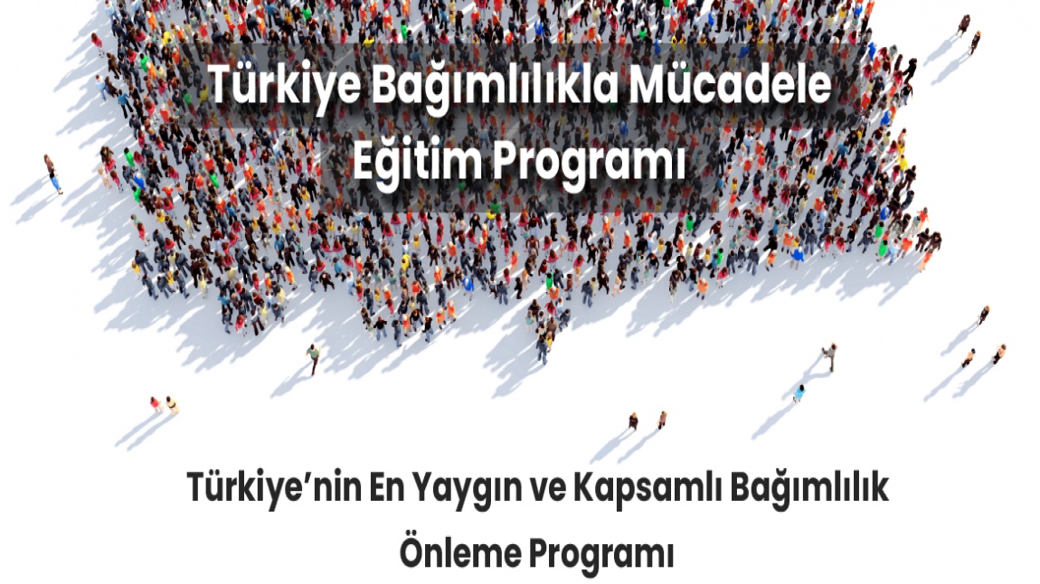 Türkiye Bağımlılıkla Mücadele Programı 